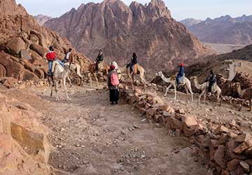 Climbing Mount Sinai